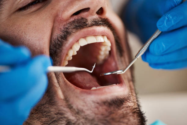 Professional Dental Services in Shields, MI